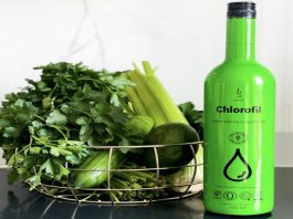 Na co jest chlorofil?